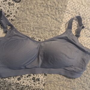 Warner's Soft Blue Comfort Bra